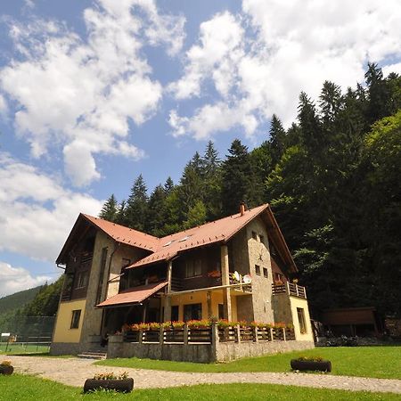Pensiunea Denisa Lunca Bradului Exterior foto