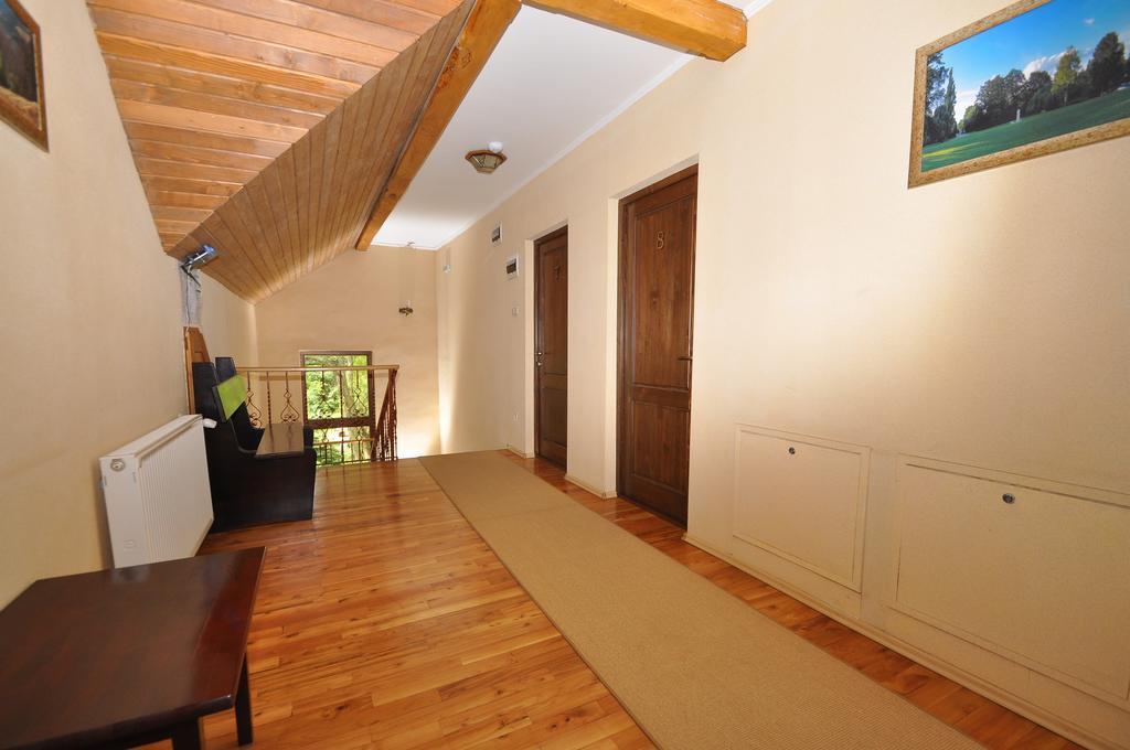 Pensiunea Denisa Lunca Bradului Exterior foto