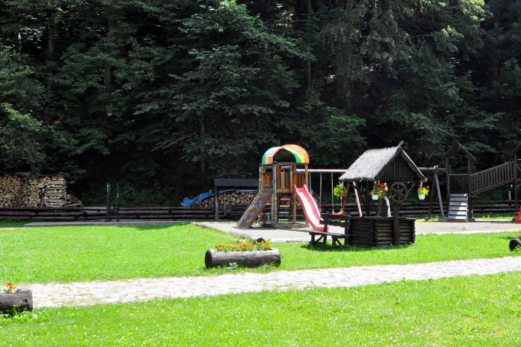 Pensiunea Denisa Lunca Bradului Exterior foto
