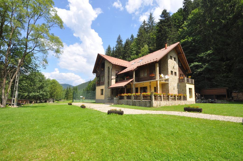 Pensiunea Denisa Lunca Bradului Exterior foto