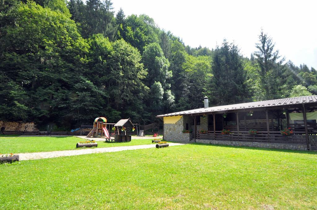 Pensiunea Denisa Lunca Bradului Exterior foto